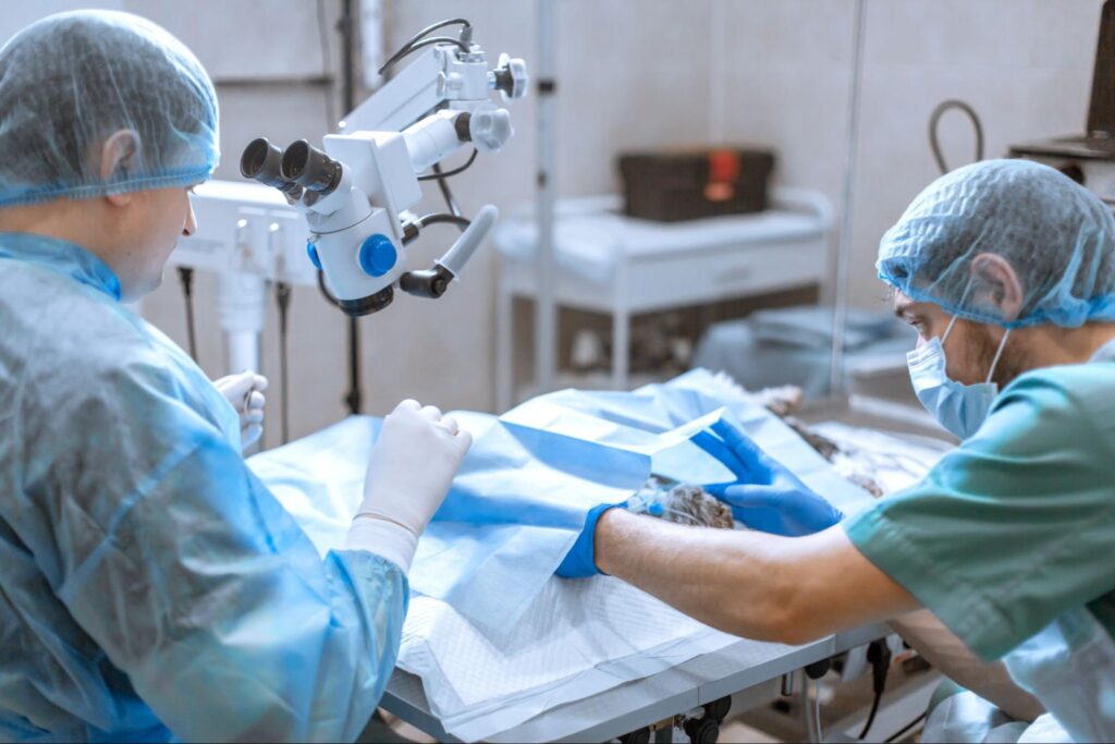 白内障 何歳から